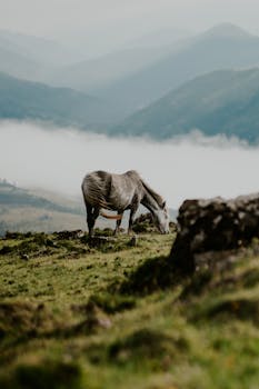 Turismo rural en Galicia imagen 3